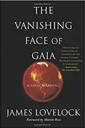 The Vanishing Face of Gaia